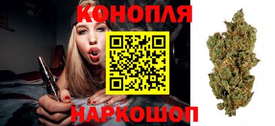 крисы Рыбинск