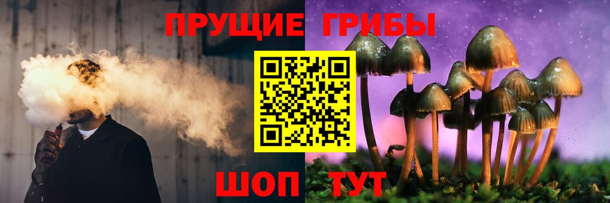 где найти наркотики  Галлюциногенные грибы Psilocybe  Вход с VPN  Евпатория 