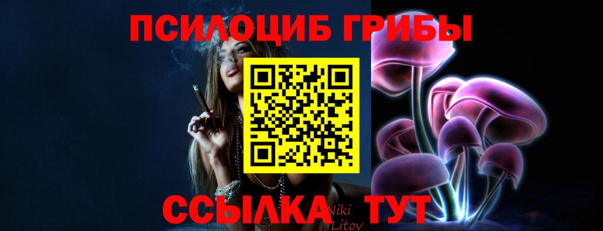 Галлюциногенные грибы Magic Shrooms Евпатория